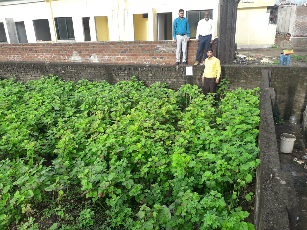 70 SQ.YD Residential Plot In MOJE PALI, SURAT